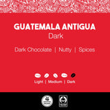 Guatemala Antigua Coffee – Dark Roast