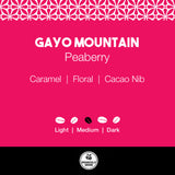 Gayo Mountain Peaberry Organically Coffee