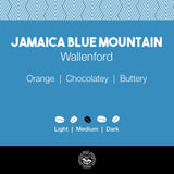 Jamaica Blue Mountain – Wallenford Peaberry