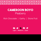 Cameroon Boyo Peaberry Coffee